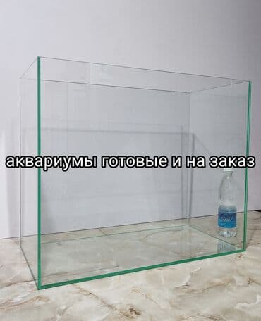 аквариумная рыбка: Аквариумы готовые и на заказ Также изготавливаем террариумы Вы можете — 1