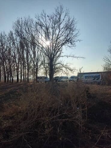 продажа земель сельскохозяйственного назначения: 1500 соток, Для сельского хозяйства, Договор долевого участия — 5