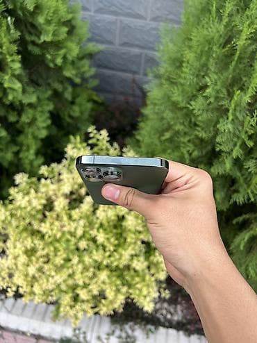 iphone v: IPhone 13 Pro Max, Б/у, 256 ГБ, Зеленый, 77 % — 6