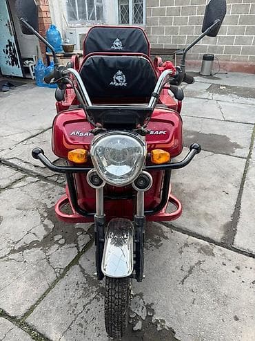 Велосипеды: Электрический трицикл «Ак Барс» (пассажирский, двухрядный) - — 2