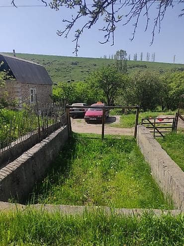 псо джал: Продаю дачу. В хорошем месте. На огороде есть яблони, малины — 4