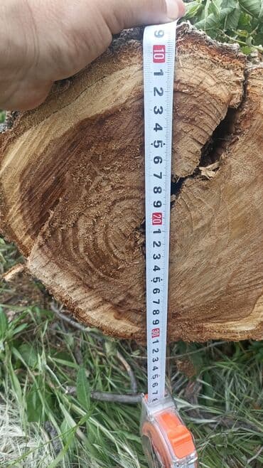 Дрова Карагач, Самовывоз at lalafo.kg Дрова Карагач, Самовывоз