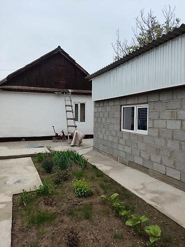 электричества: Дом с двориком и надворными постройками - Участок с широкими — 3