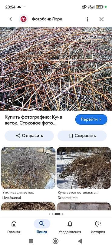 прудь: Дрова — 1