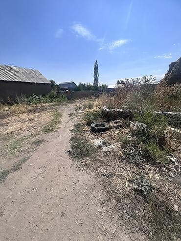 сокулук сокулукский: 4 соток, Красная книга — 1