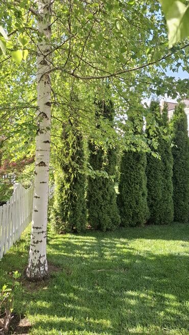 сдаю комнату каракол: Квартира, ЦО Карвен 4 сезона, Сары-Ой, Детская площадка, Парковка, стоянка, Охраняемая территория — 2