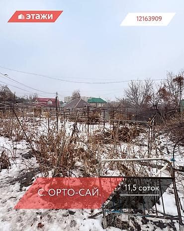 отжим масла: 11 соток — 1