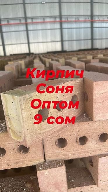 Кирпич «Соня» — оптом - Формат: пустотелый кирпич с круглыми