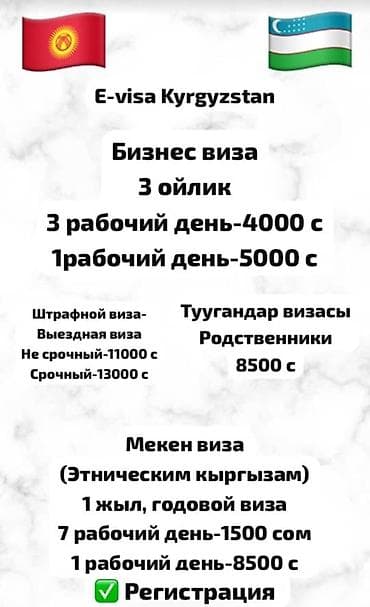 Оформление e-visa Kyrgyzstan (Кыргызстан/Узбекистан) Доступные виды