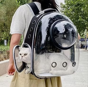 cat sofa: Прозрачный рюкзак‑переноска для домашних животных - Для кошек и — 1