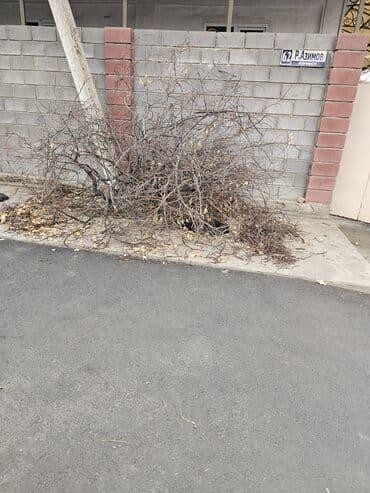 мебель в бишкеке в рассрочку: Дрова — 1