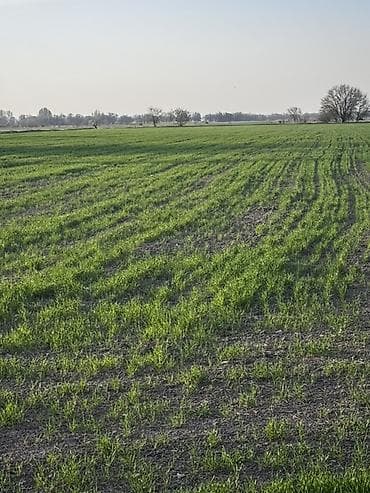 продаю гораж: 300 соток, Действующий, Без оборудования, Без коммуникаций — 1