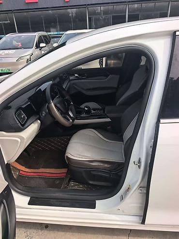 реальному: BYD Qin: 2024 г., Электромобиль, Седан — 5