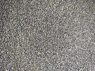 Семена люцерны (Medicago sativa) - Чистые откалиброванные семена