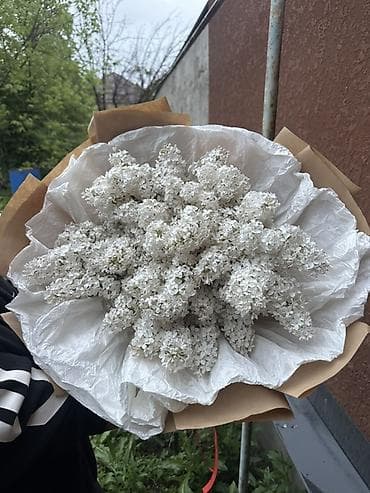 цветочная: Букеты из душистой сирени Ветка 60 сом пишите по номеру: - Состав — 4