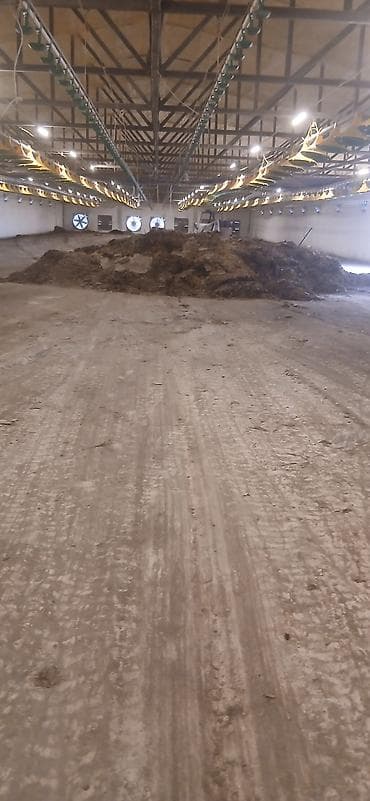 наруто вещи: КУРИННИЙ НАВОЗ БЕСПЛАТНО.
ТОЛКО ШУШНЯК ПОГРУЗЧИКАМ — 1