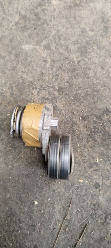 сычужный фермент купить в бишкеке: Renault Duster ролик натяжителя, Ренаулт Дастер натяжитель ремня — 1