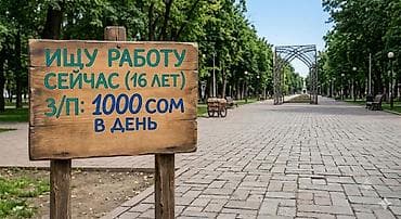 ученик в сто: Услуга: Подросток ищет работу Описание: - Возраст: 16 лет - Готов — 1
