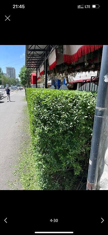 дворник: 🌱Я Садовник Стрижка Живой изгородь,самшит,Туи,хвойные растения, Я — 4