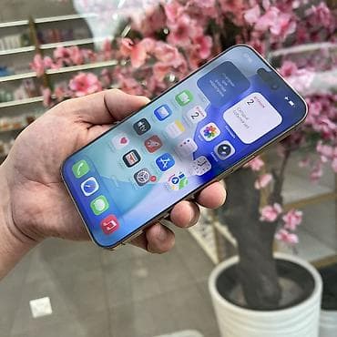 IPhone 16 Pro Max, Колдонулган, 256 ГБ, Desert Titanium, 100 % — 3