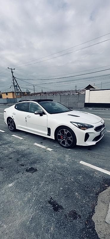 Kia Stinger: 2018 г., Бензин