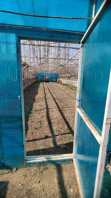 металлический бак: Теплицанын каркасы сатылат
 ват — 4