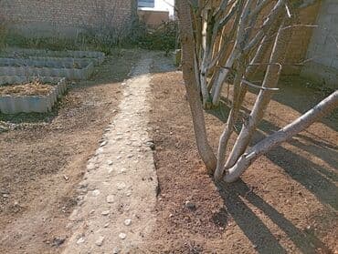 частные дома: 6 соток — 4