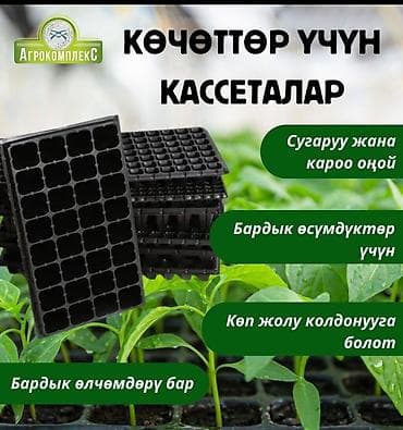 Пластиковый Ящик