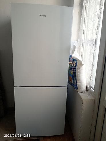 technics rs: Муздаткыч Biryusa, Эки камералуу — 3