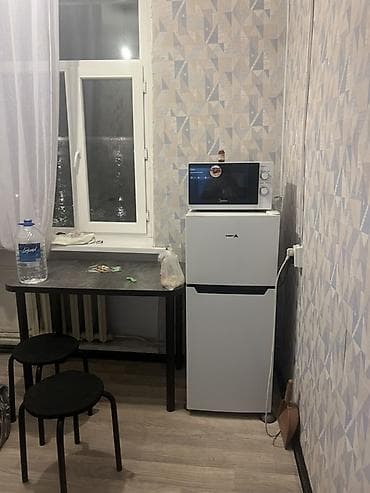 Кыймылсыз мүлк: 1 бөлмө, Менчик ээси, Балдарсыз түгөйлөргө, 1 айдан баштап, 3 айдан баштап, Толугу менен эмереги бар — 4