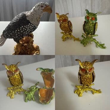 декоративные растения бишкек: Шкатулка, куплена в Дубаи за 1300, новая. Фото и видео могу прислать — 1