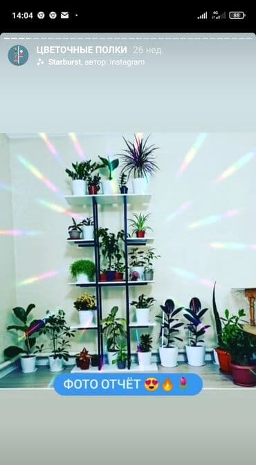 полка для цветок: Цветочница Цветочные полки Цветочные горшки Стеллаж Полки классика — 15