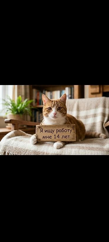 глобус купить: «Я ищу работу, мне 14 лет» — 1
