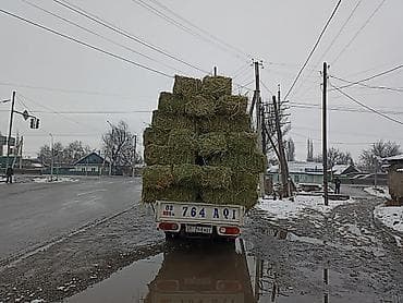 Клевер аралаш чоп доставка есть