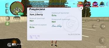Игровые услуги в мобильной GTA‑онлайн (скрин с лицензиями персонажа