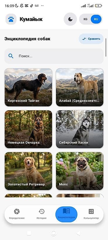 русская: Приложение «Кумайык» — умный помощник для владельцев собак — 6