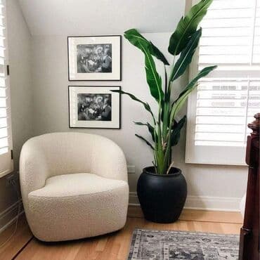 искусственные растения: Искусственные растения разных видов для уютного интерьера. Возможны — 9