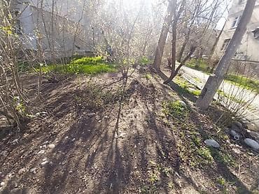 клинин: Аймактарды жыйнап тазалоо, Уборка двора и сада — 4