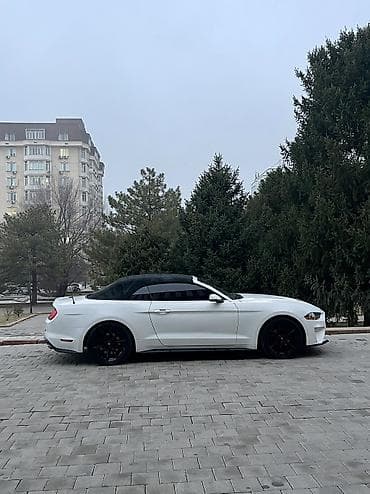 mustang машина: Ford Mustang: 2018 г., 2.3 л, Бензин, Кабриолет — 3