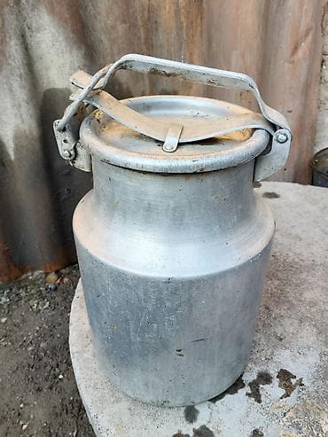 Сейфтер: Канистр 10 л — 1