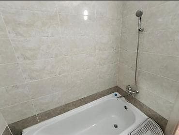 Батир сатып алам: 1 бөлмө, Менчик ээси, Чогуу жашоосу жок, Толугу менен эмереги бар — 10