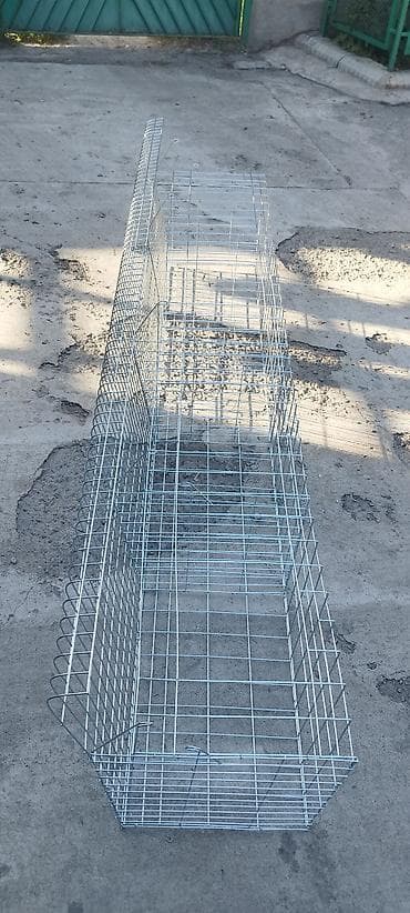 Продам новые клетки для курей несушек. в неё входит поилки . новые at lalafo.kg Продам новые клетки для курей несушек. в неё входит поилки . новые