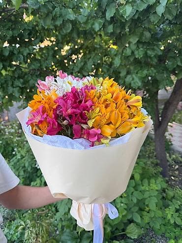 малина свежие: Букет из альстромерий - Состав: свежие альстромерии в миксе оттенков — 4