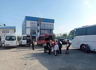 белая обувь: Пассажирские перевозки/аренда микроавтобуса Mercedes-Benz Sprinter. - — 2