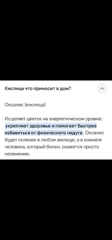 орхидея бинти бабочка: Будет пышная шапка Готов к переезду - Новый горшок✅️ - Новый — 3