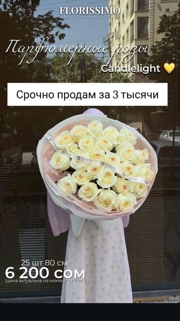 животные отдам даром: Цветы продам срочно — 1
