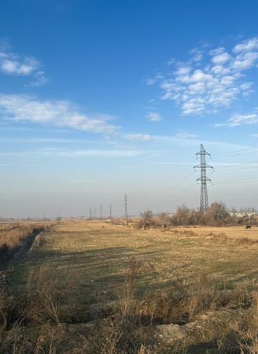 скупка домов: 50 соток, Для строительства, Тех паспорт, Договор купли-продажи — 1