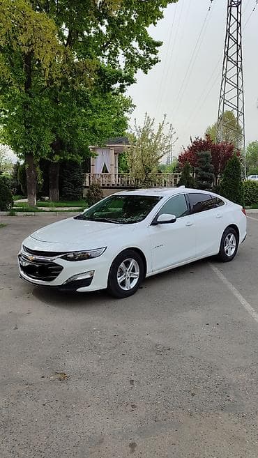 шевролет: Chevrolet Malibu: 2019 г., 1.3 л, Вариатор, Бензин, Седан — 1