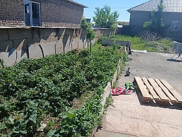 продаётся дом село сосновка: Продаётся частный домовладение с двором и садовым участком. - — 4