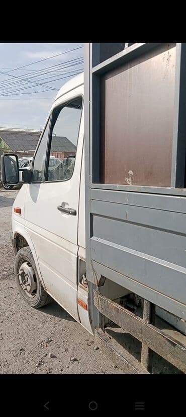 Собаки: Продаю | Коза (самка) — 1